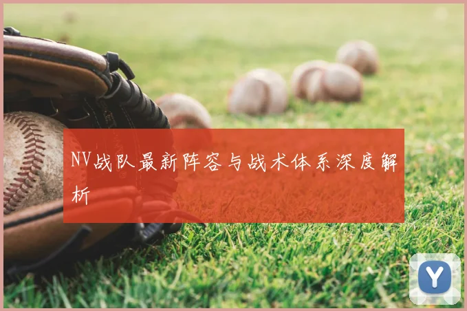 NV战队最新阵容与战术体系深度解析