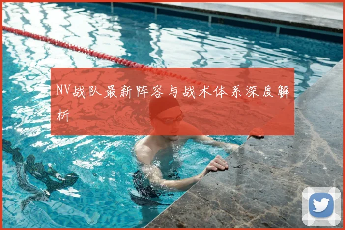 NV战队最新阵容与战术体系深度解析